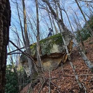 Meet your Posher, Brandon